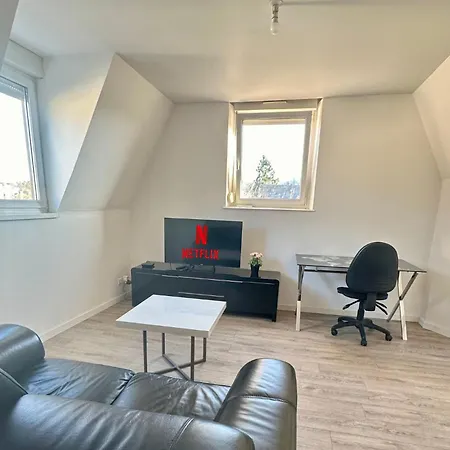 F5 Maison De Maitre Appartement Mulhouse