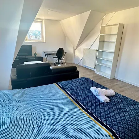 Appartement F5 Maison De Maitre Mulhouse